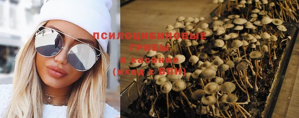 PSILOCYBIN Покачи