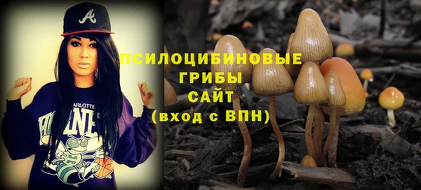 таблы Алексин