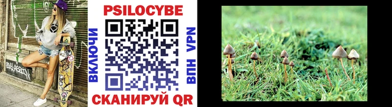 Псилоцибиновые грибы Psilocybe  Оханск 